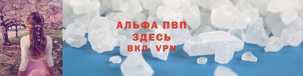spice Богородск