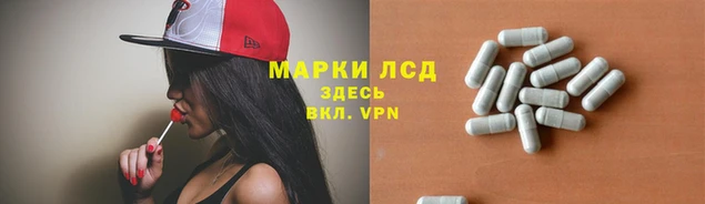spice Беломорск