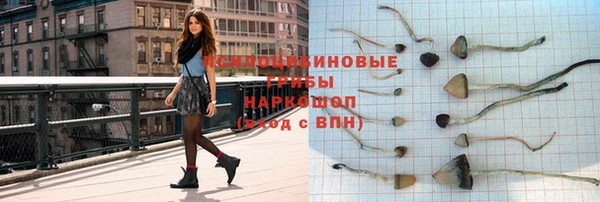 прущий лед Бронницы