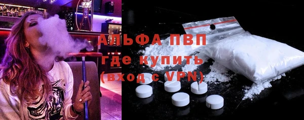 spice Богородск